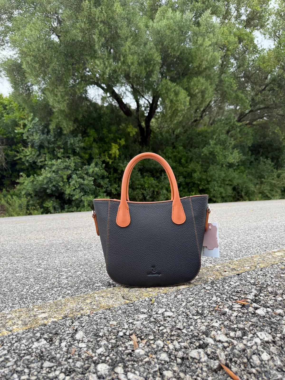 Bolso Góndola